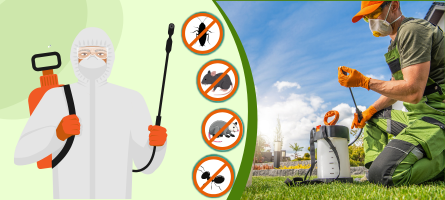 Emergency Pest Control Mernda